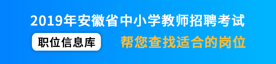 2025安徽中小学教师招聘考试职位表